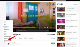 看视频的网站,揭秘热门平台背后的精彩故事